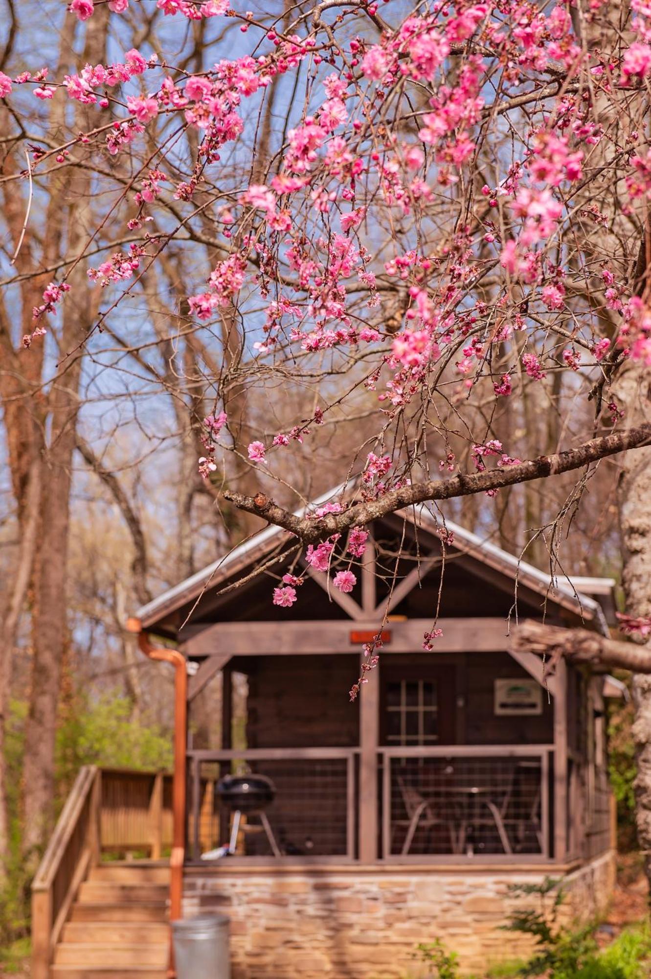 Ryon Tiny Home Cabin City-Side Rustic Retreat Чаттануга Экстерьер фото